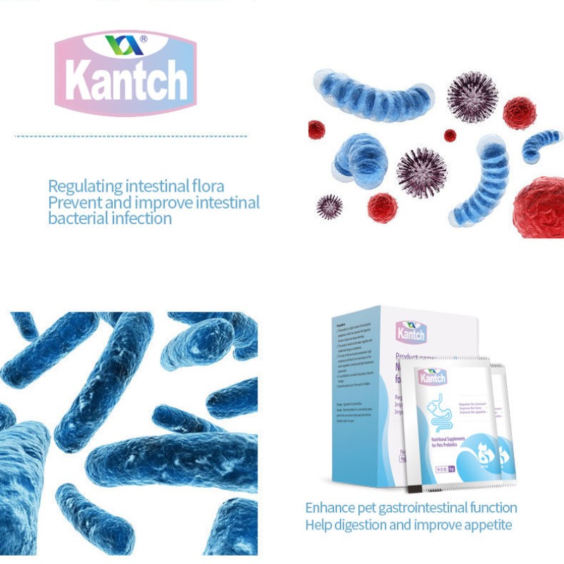 OEM Hot-Sale Dog Probiotics Nutritional Supplements Improved Stomach Appetite Supplements for Dogs Pet Health Care & Supplements