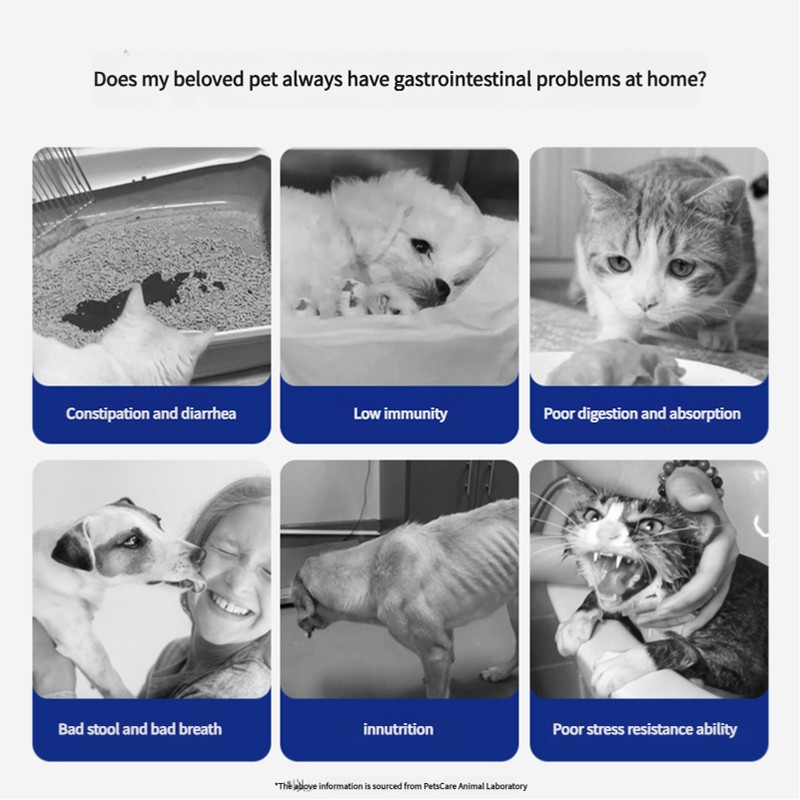 Soft Chewable Natural Dog Vitamin Dog Multivitamin Supplement for Immune Digestion Joints