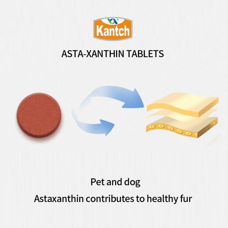 Durable Dog Vitamin Joint Probiotics Multivitamins OEM Beauty Hair Tablets with Turkey Chicken Tuna Nutrition Supplement Pets
