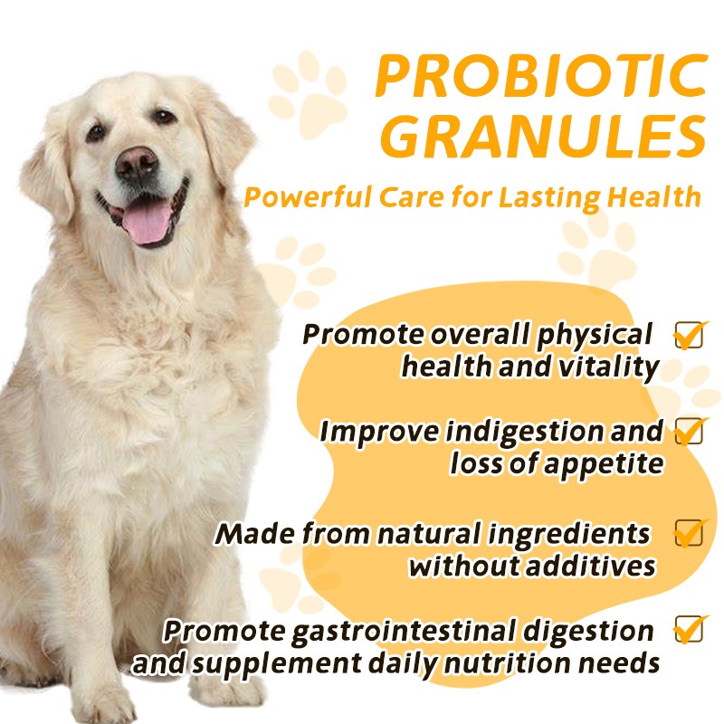 Wholesale Pet Probiotic Supplement Vitamins Probiotic Cat Supplement Promote Healiny Bowel