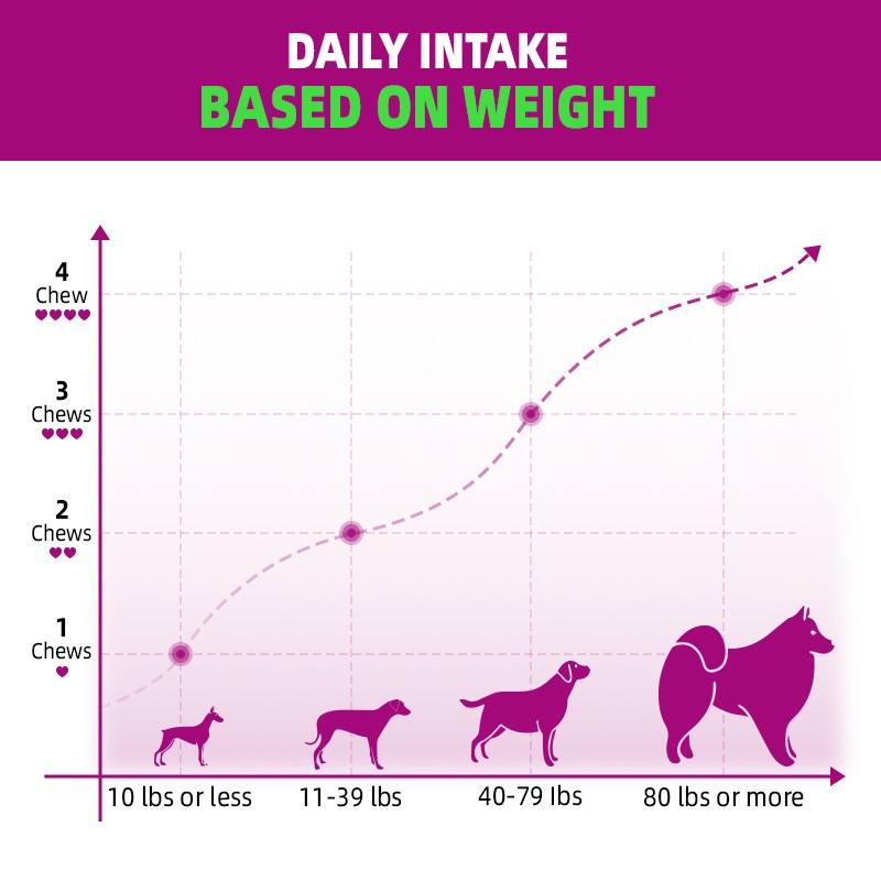 Pet Yuan OEM Private Label Hip Joint Supplement Chews for Joint Health Glucosamine Chondroitin