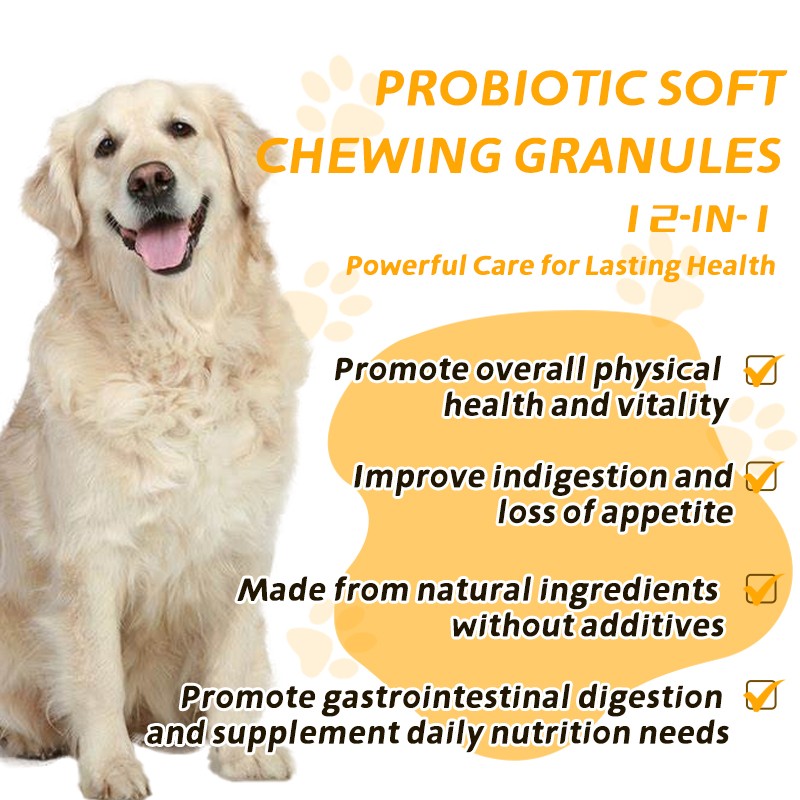 Pet Yuan Wholesale Pet Supplement Flavor Probiotics Soft Chews Probiotic Soft Chews for Pet Gut Health