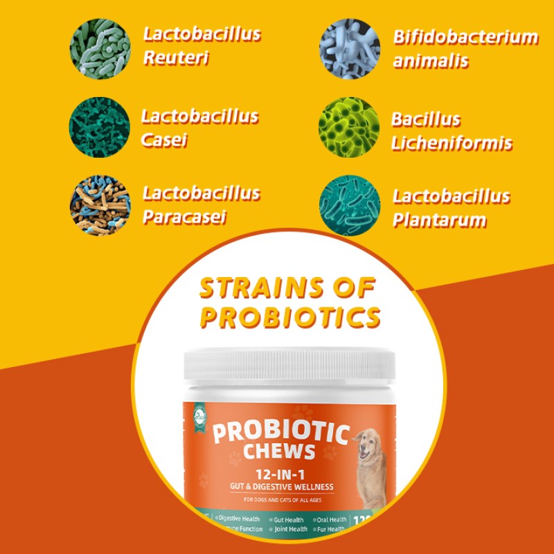 Pet Yuan OEM Pet Intestinal Health Soft Chew Supplements Soft Chew Pet Food and Supplements