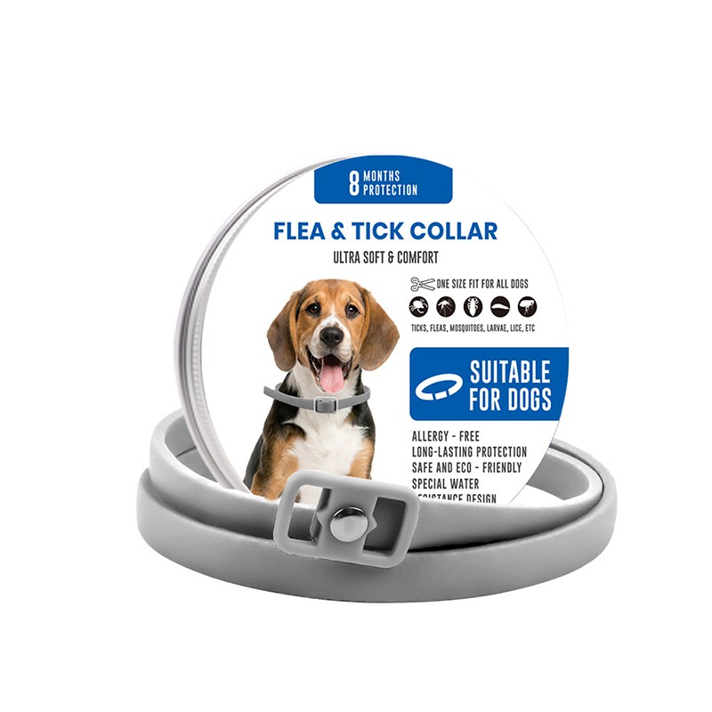 China Factory Supply  Pet Collars Leashes Harnesses Leather Pet Collar Smart Collar for Pets