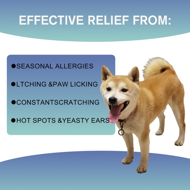 Practical Easy to Use 6 in 1 Allergy Itch Support Complex Pet Supplement Chewable for Dogs Cats Daily