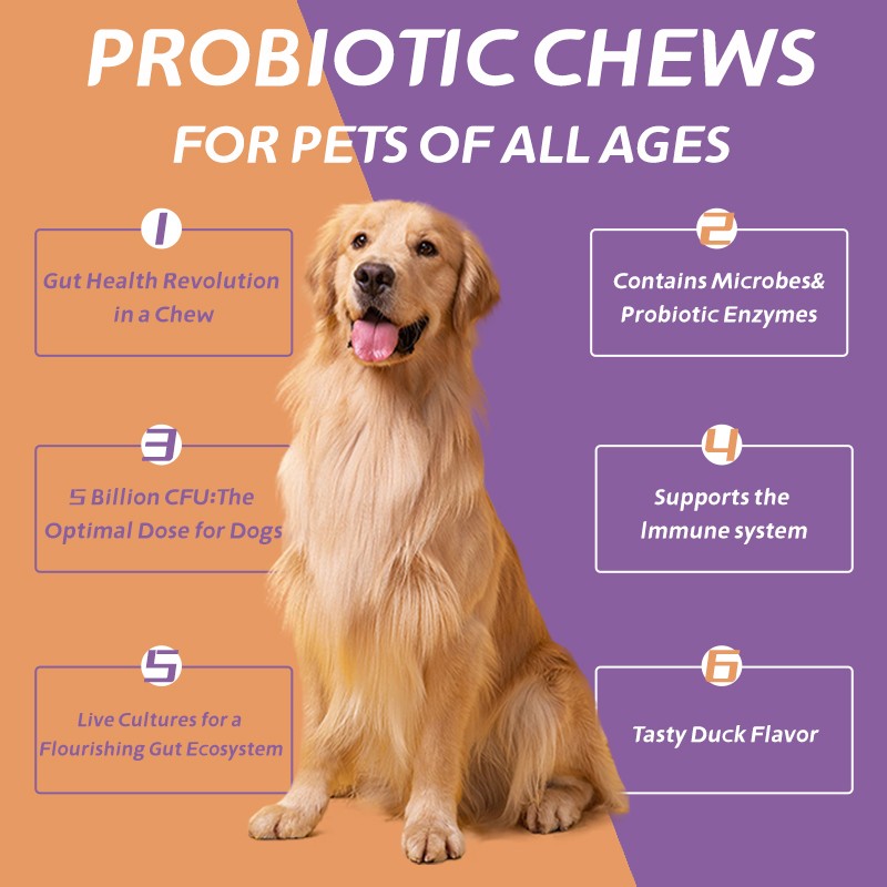 Pet 12 Plus Probiotic Chewable Tablets for Cats and Dogs of All Ages Suitable for Health Care of Healthy Cats and Dogs