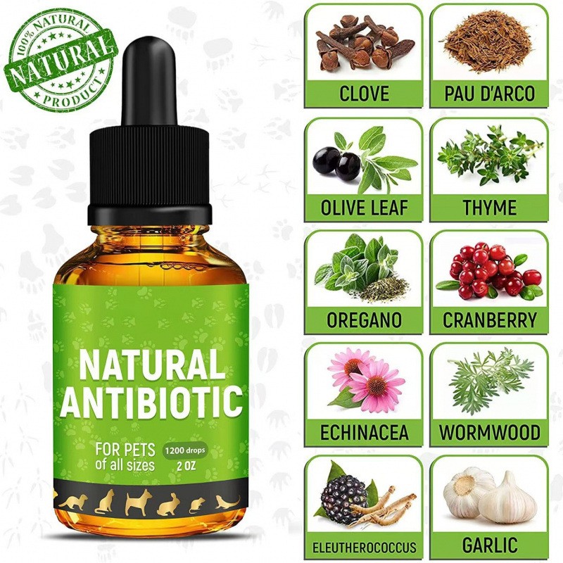 Wholesale Pet Health Products Antibacterial Immunity Nutritional Supplements for Dogs High Quality Dog Nutrition Solution