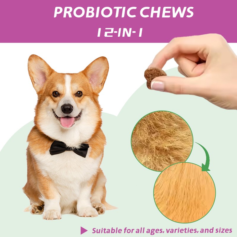 Pet 12 in 1 Probiotic Vitamin Chewable Tablets Natural Formula Supports Overall Pet Health and Enhances Immunity