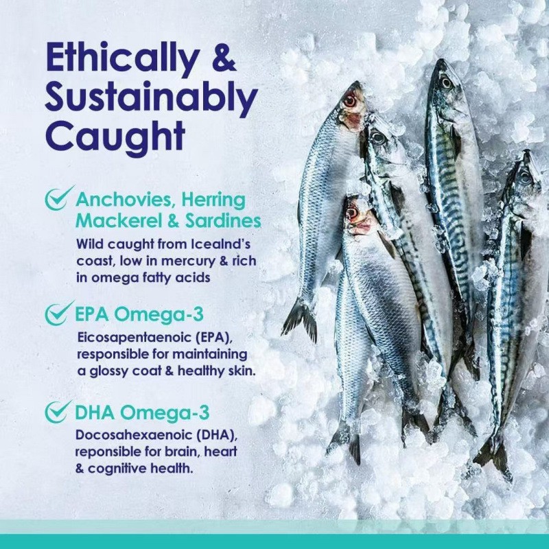 High Quality Supplements for Cats and Dogs Anti-Shedding Healthy Fish Oil Fish Oil Capsules Skin Hair Dog Cat Supplements