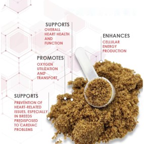 OEM ODM  Pet Immune System Cardiac Muscle Circulation Cardio Pet Supplement for Heart