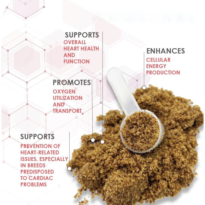 OEM ODM  Pet Immune System Cardiac Muscle Circulation Cardio Pet Supplement for Heart