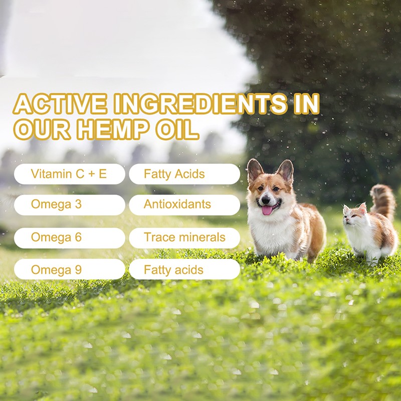 Custom Dogs Drops Relief Stress Drops Pet Nutritional Supplements Anxiety Relief Pet Treat Calming Supplement Dogs Calming Treat