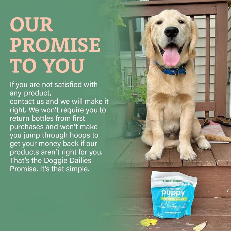 Pet Vitamins Supplement 15-in-1 Multivitamins Tablets Immunity Digestion Joint Heart Health Supplements for Dog