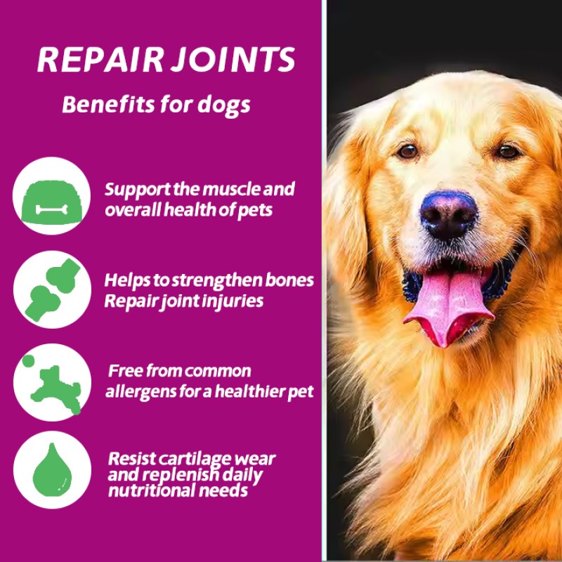 High Quality Pet Joint Health Supplements Soft Chews Palatable Flavors for Daily Use in Cats and Dogs