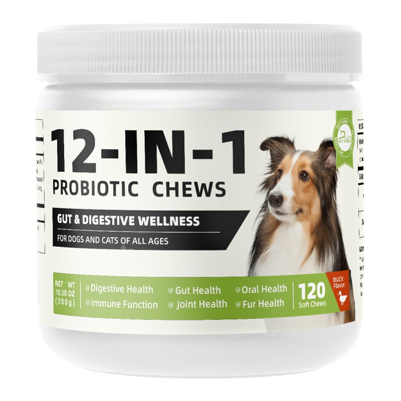 OEM ODM Multi-effect Combined Immunity Enhancing Probiotic Soft Chews for Pets Daily Health Supplements for All Age Groups