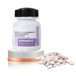 Factory Pet Probiotic Nutritional Supplement Prebiotics and Probiotics for Dog and Cat  Probiotic