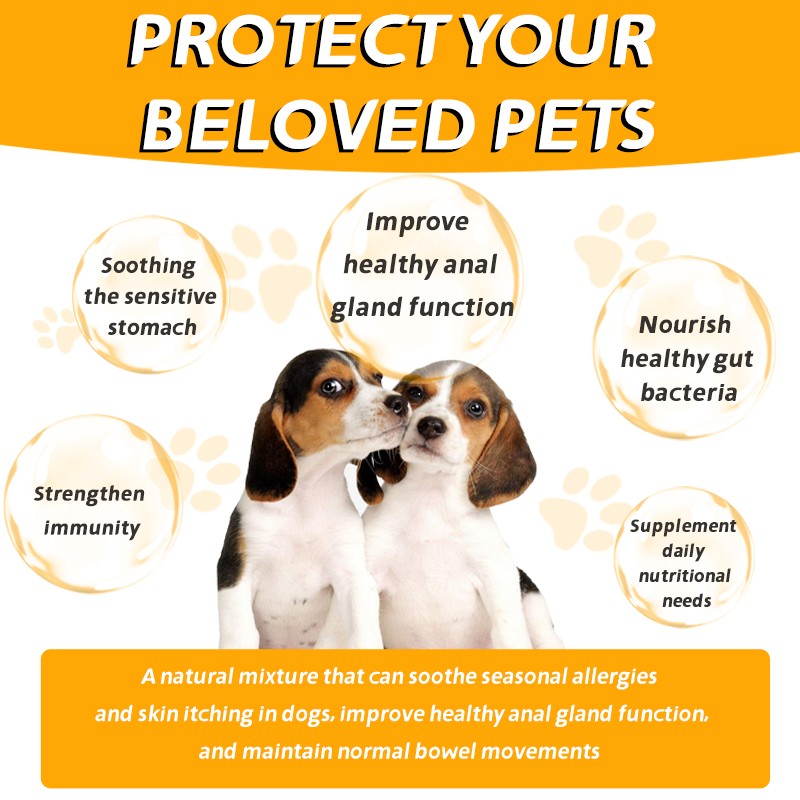 OEM ODM Private Label Pet Health Anti Itch Support Immune Health for Occasional and Seasonal Allergies