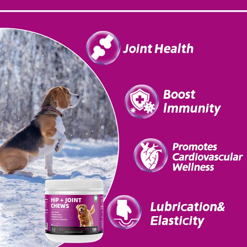 Pet Yuan OEM Hip and Joint Supplement Dog Multivitamin Chew Treats Hip and Joint Supplements Chewable Glucosamine for Dogs