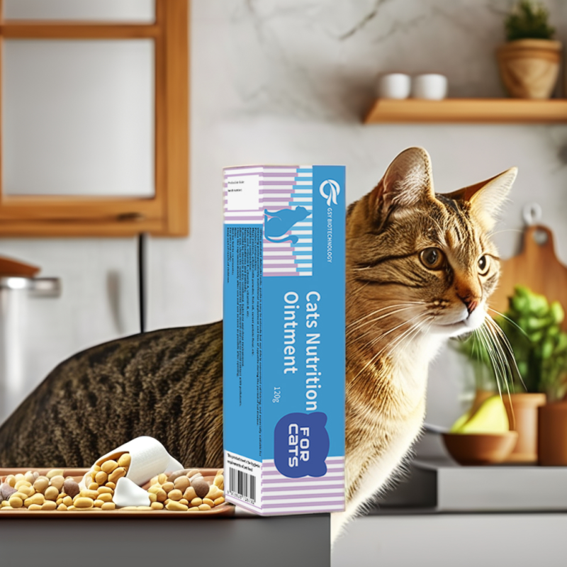 Factory Price Pet Nutrition Cream Nutritional Gel Pet Supplement Cat Vitamins Gel Cat Cream Cat Nutrition Gel