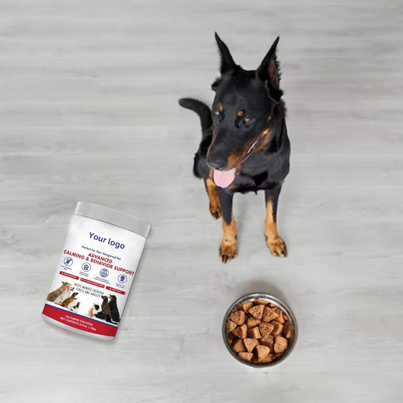 Pet Health Care Nutrition Supplements Anxiety Relief Soft Chews Dog Supplement Calming with Custom Flavor