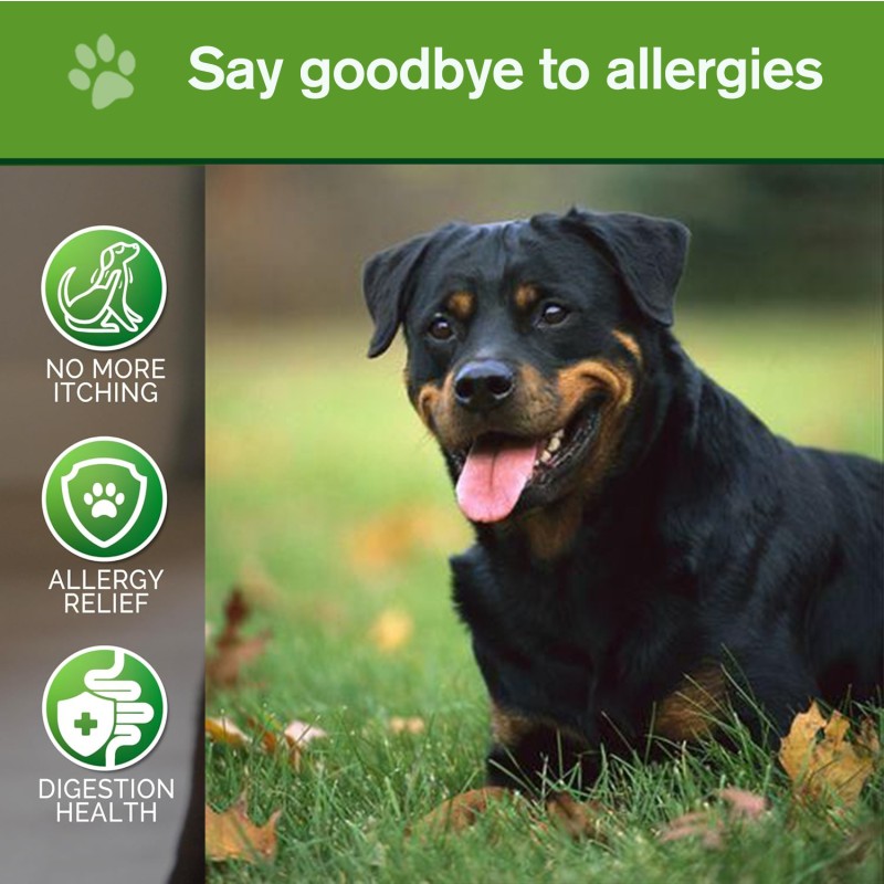 Accept Customization Effective Pet Anti-Allergy Itch Relief Chews Natural Ingredients Immune Support for Dogs