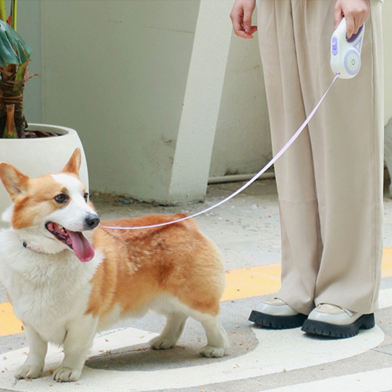 High Quality Luxury Automatic Retractable Nylon Dog Leash LED Light High-Visibility Rope Custom Logo Solid Pattern Portable Belt