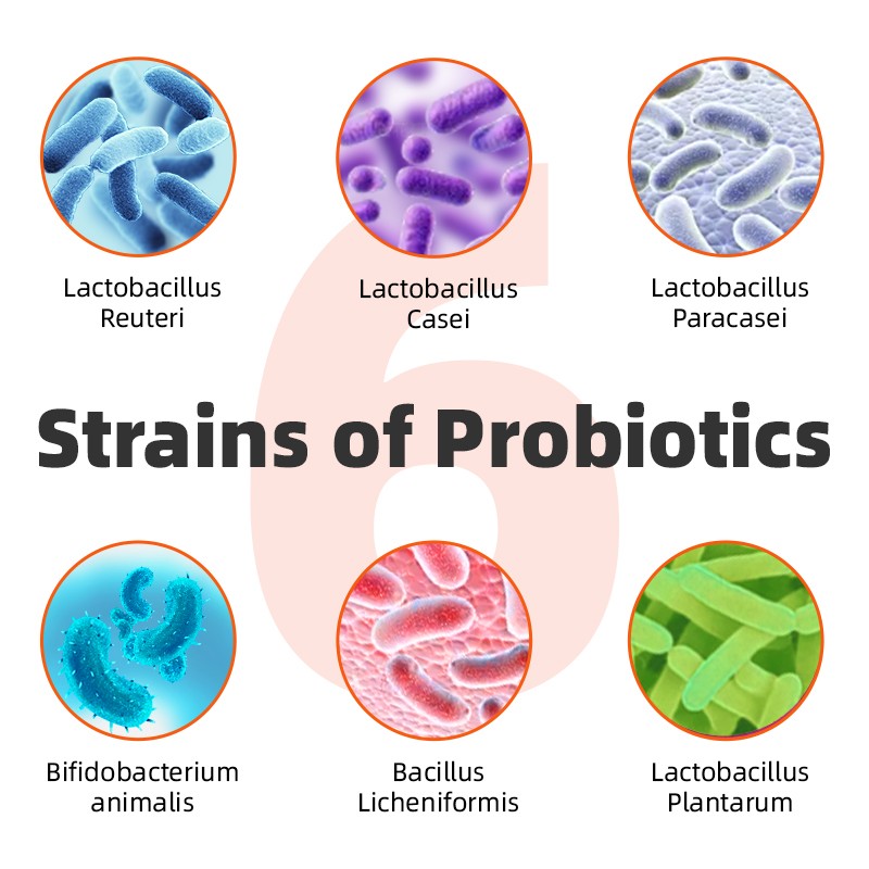 Pet Yuan Pet Probiotic 12 in 1 Custom Support Health Digestive Dog Supplement Probiotics Support