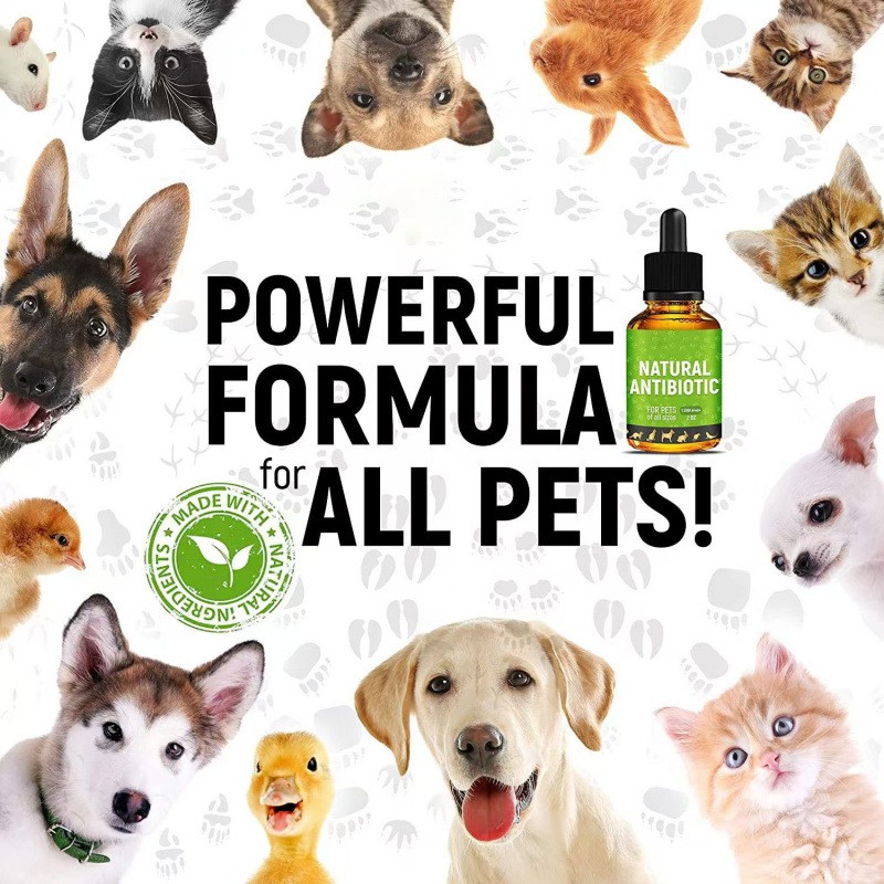 Wholesale Pet Health Products Antibacterial Immunity Nutritional Supplements for Dogs High Quality Dog Nutrition Solution