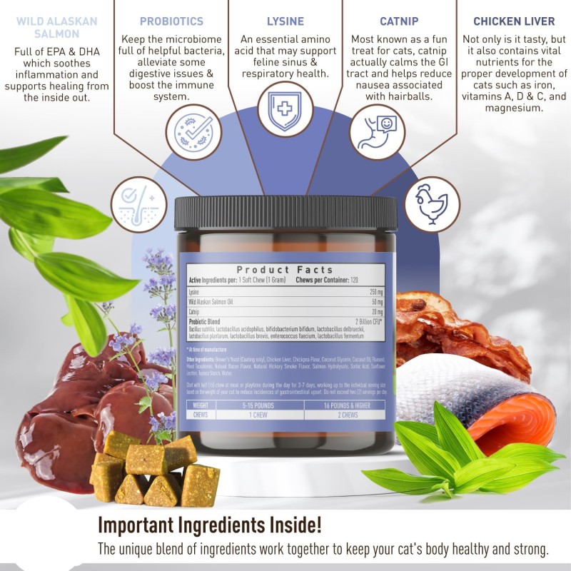 OEM Pet Multi-Vitamin Nutritional Supplement Chewable for Cats Enhances Immune System and Improves Digestion for All Ages Cats