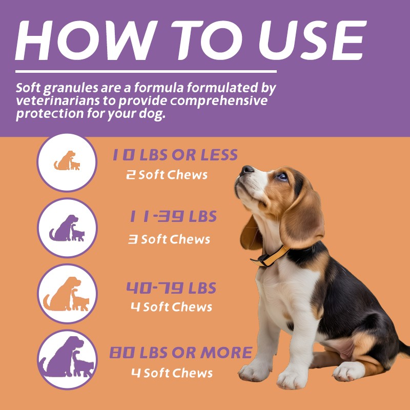 Pet 12 Plus Probiotic Chewable Tablets for Cats and Dogs of All Ages Suitable for Health Care of Healthy Cats and Dogs