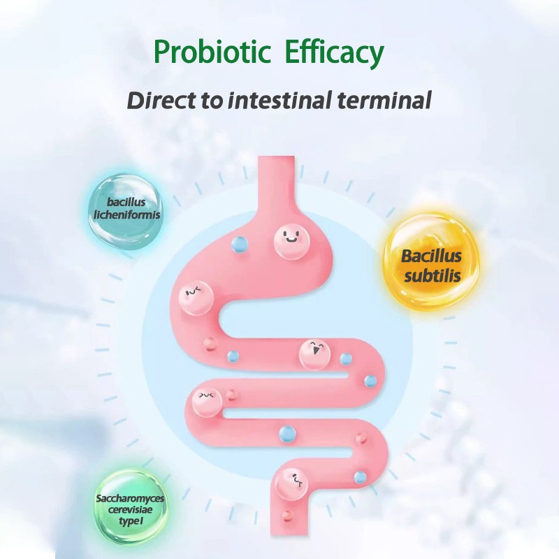 Pet Health OEM Custom Fast Acting Pet Immune and Allergy Support Chewable Tablets Reduces Itching Licking Calms Skin