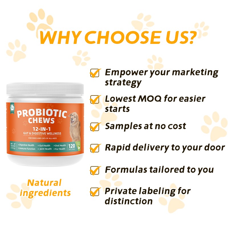 Pet Yuan Probiotics Support Customizable Flavors Pets Supplement Tablet Pet Health Care