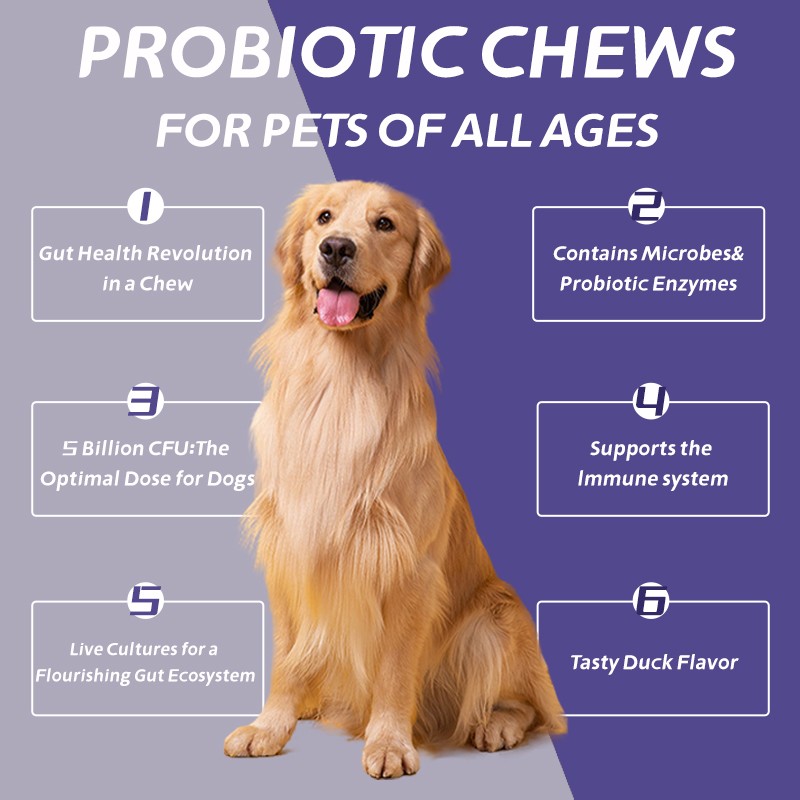 Pet Yuan Custom Support Health Digestive Dog Natural Supplement Promote Healiny Bowel Digestive and Immune Health Probiotics