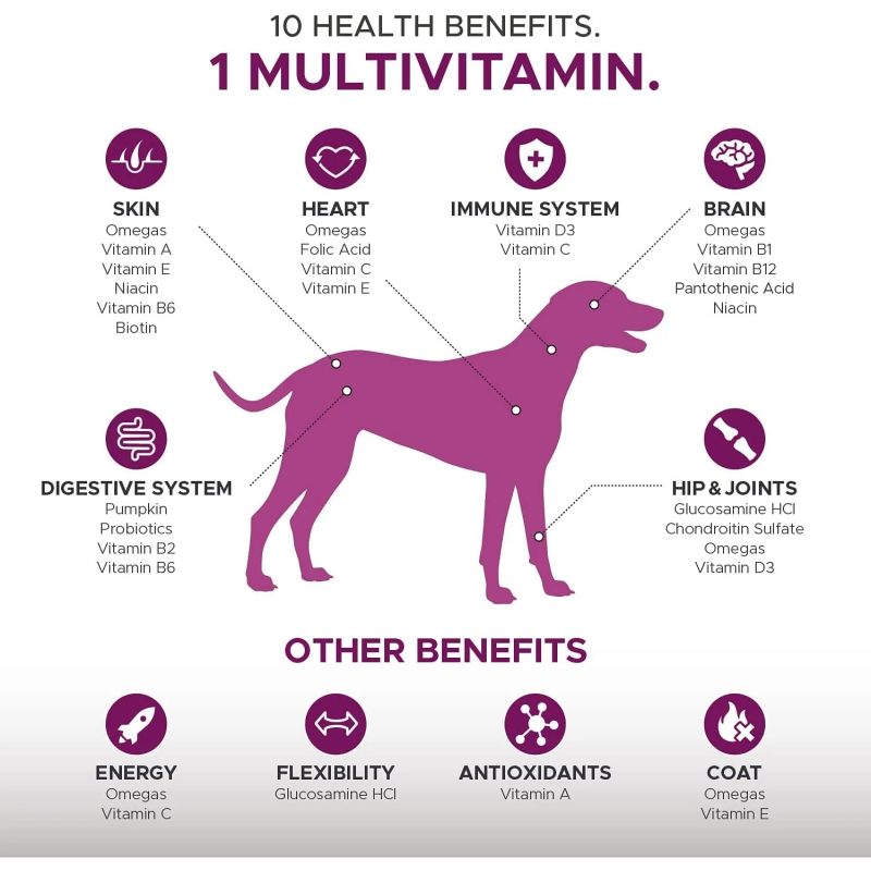 Natural Ingredient Pet Multi-effect Vitamin Chewable Tablets Comprehensively Safeguarding Pet Skin and Immune System Health