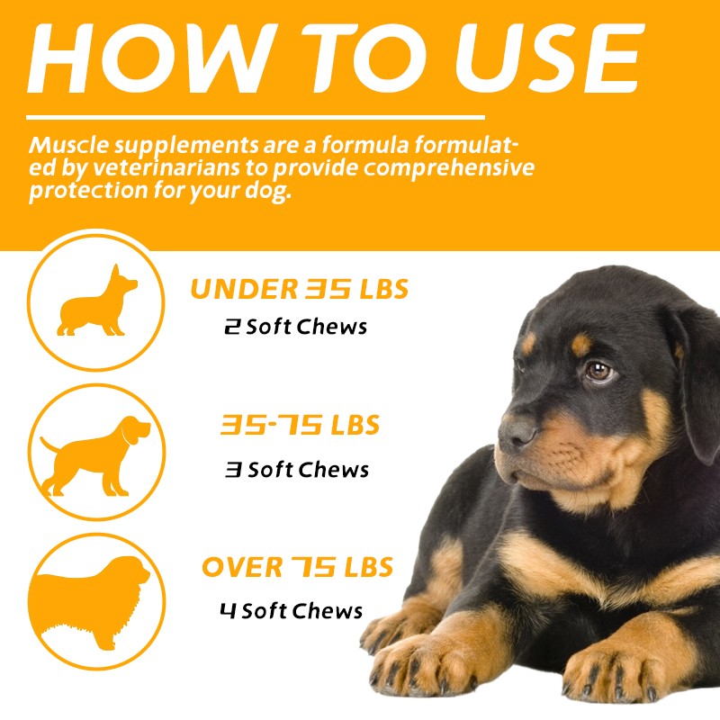 Pet Supplement High Protein  Soft Chews Immune System Strengthen  Muscles Builder Supplement Racing Dogs Bites