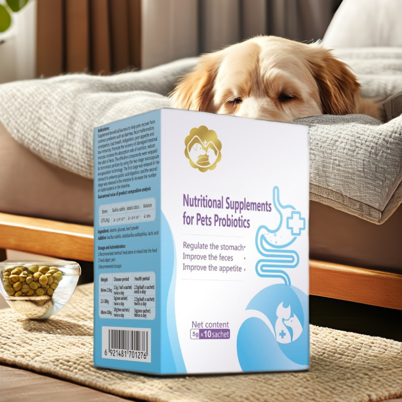 OEM Hot-Sale Dog Probiotics Nutritional Supplements Improved Stomach Appetite Supplements for Dogs Pet Health Care & Supplements