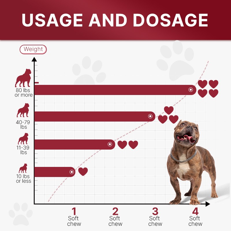 Pet Yuan OEM High Protein Dog Muscle Booster for Weight Gain High in Calories Pet Care Dog Muscle Builder Supplement