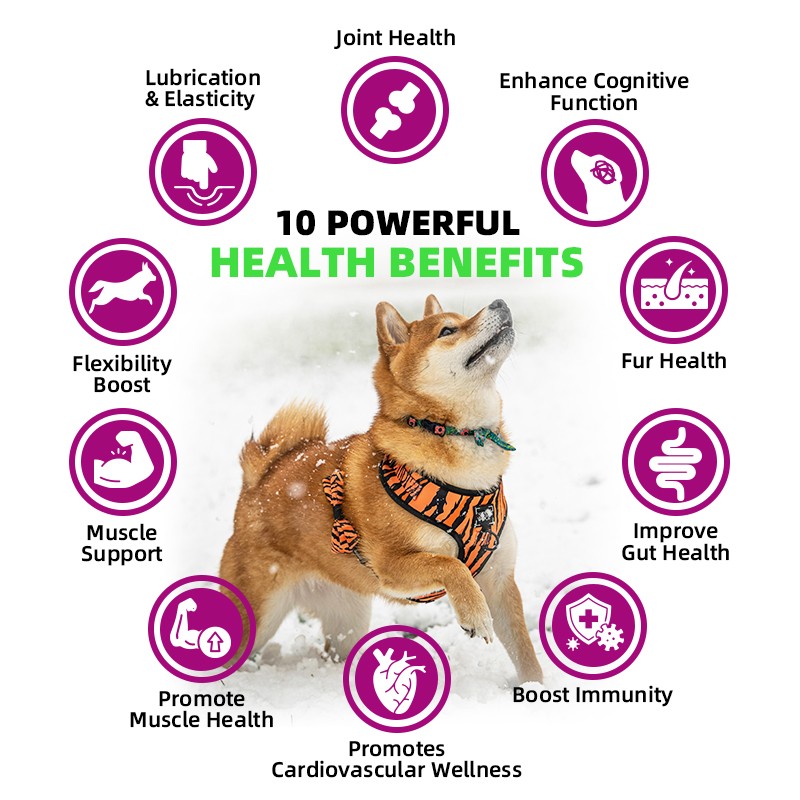 Pet Yuan OEM Private Label Hip Joint Supplement Chews for Joint Health Glucosamine Chondroitin