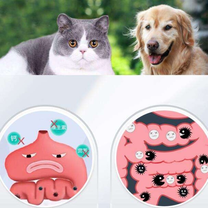 OEM Hot-Sale Dog Probiotics Nutritional Supplements Improved Stomach Appetite Supplements for Dogs Pet Health Care & Supplements