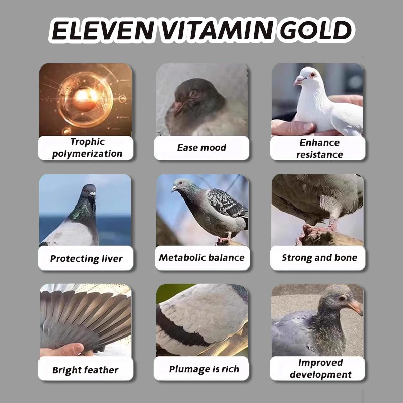 Factory Direct Sales Pigeon Pet Health Care Supplements Healthy Joint Supplement High Quality Racing Pigeon Vitamin Supplement