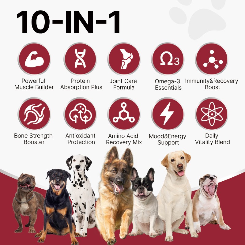 Pet Yuan Pet Health High Protein Supplement Support Dog Muscle Growth Mass Weight Gainer for Bully Dogs