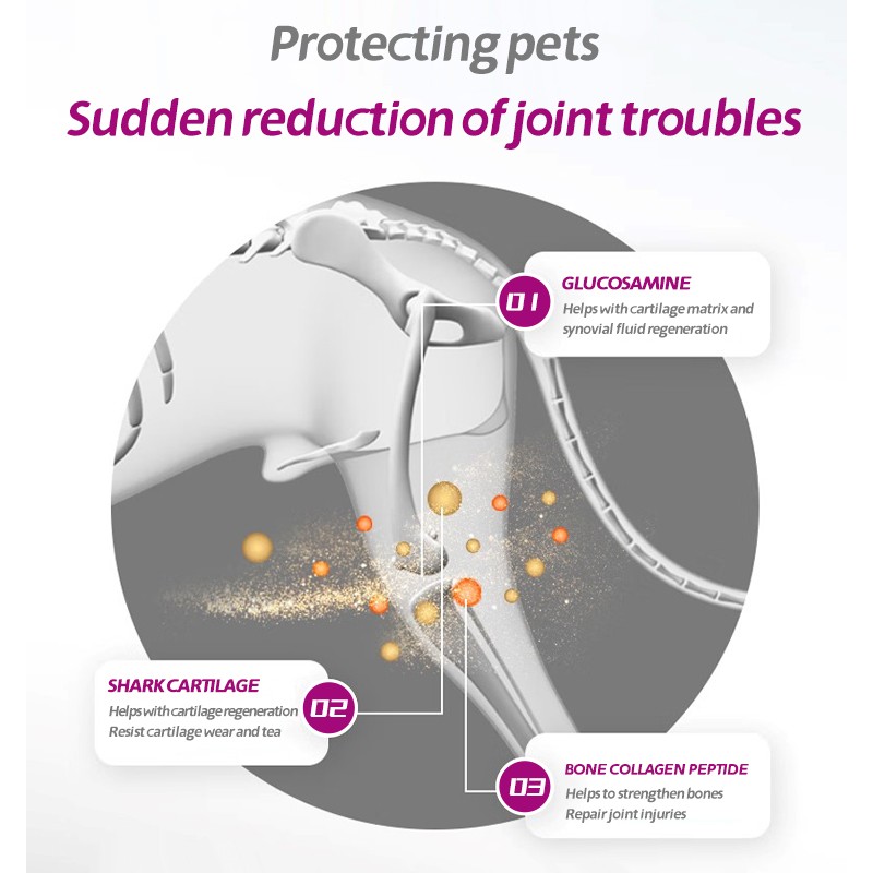 Pet Yuan Dog Cat Chews Pet Hip and Joint Support Supplement Natural Turmeric Curcumin Dog Chews