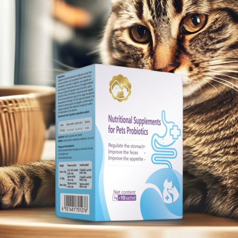 OEM Hot-Sale Dog Probiotics Nutritional Supplements Improved Stomach Appetite Supplements for Dogs Pet Health Care & Supplements
