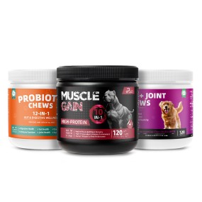 Pet Yuan Pet Care Products Muscle Gain Chews Protein Supplement for Dogs Supports Muscle Builder