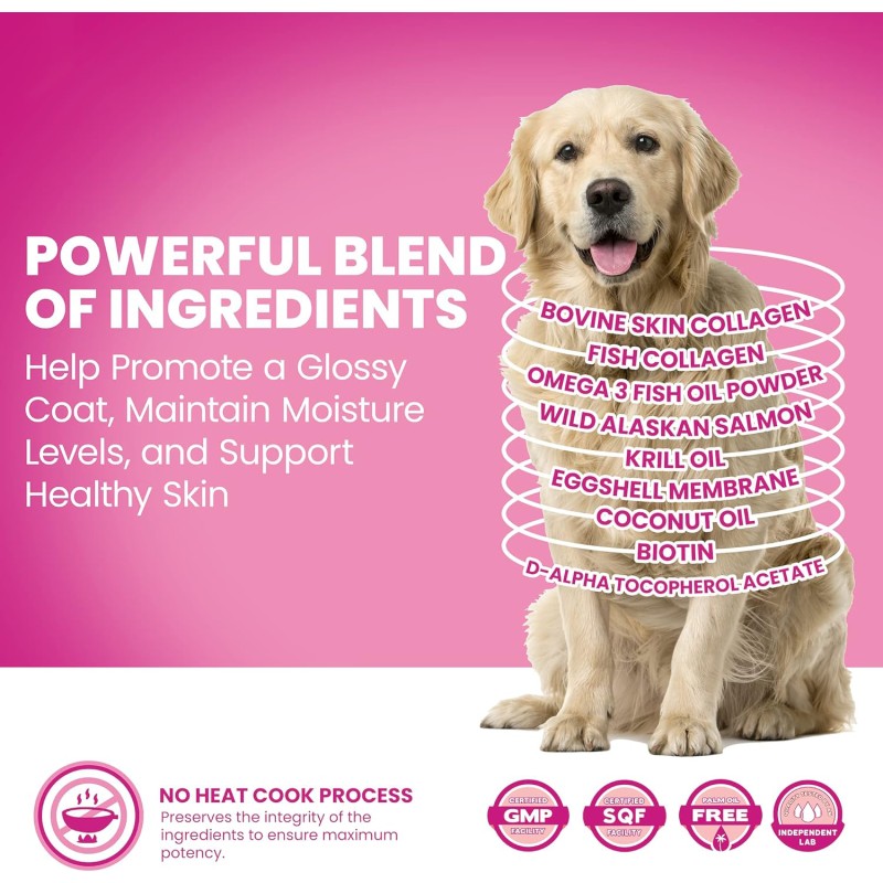 Pet Health Care Supplement Fish Oil Boost Immune System Promotes Healthy Skin and Coat Fish Oil for  Cats