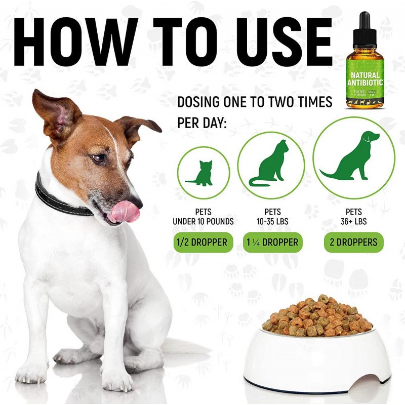 Wholesale Pet Health Products Antibacterial Immunity Nutritional Supplements for Dogs High Quality Dog Nutrition Solution