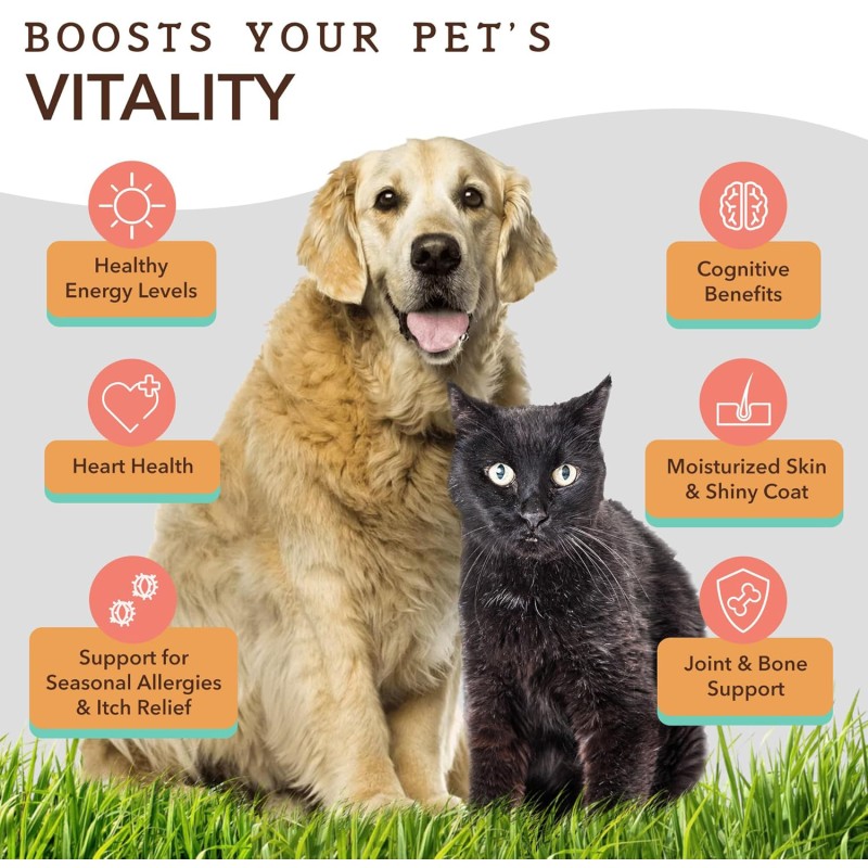 Custom Easy Absorbable Pet Multifunctional Multivitamin Soft Chewable Tablets for Dogs Pet Healthy Daily Nutritional Supplement