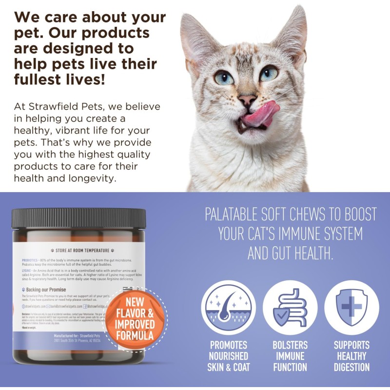 OEM Pet Multi-Vitamin Nutritional Supplement Chewable for Cats Enhances Immune System and Improves Digestion for All Ages Cats