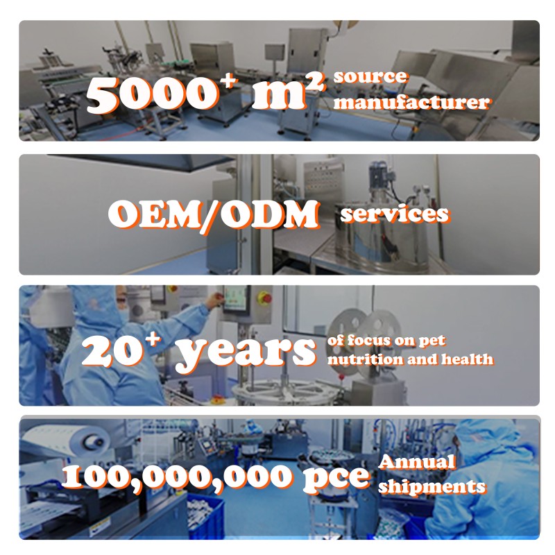 OEM Chickens Nutritional Supplement Vitamins Electrolytes Soluble Powder Feed for Cocks