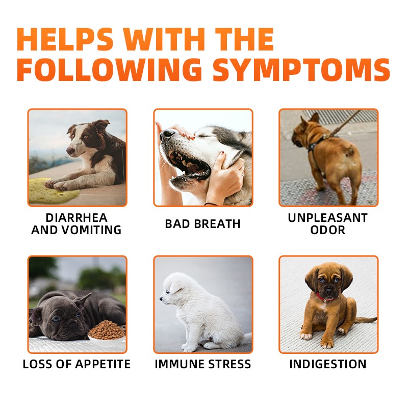 Pet Yuan Pet Probiotic 12 in 1 Custom Support Health Digestive Dog Supplement Probiotics Support